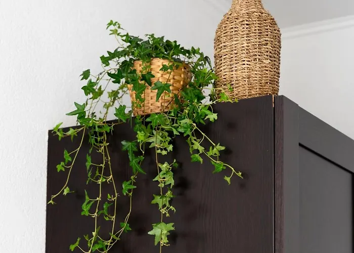 Swidnicka 8b Market View Balcony - Properunit Wroclaw